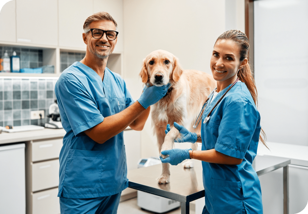 Animals for examination and treatment in Veterinarians Office