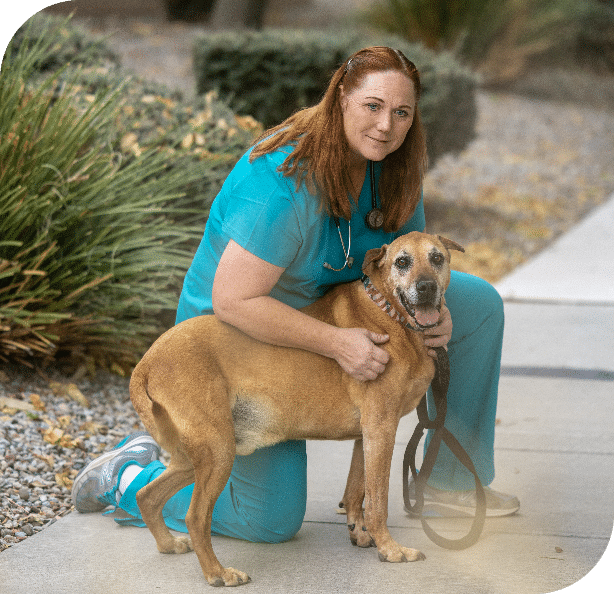 Stacey Thornton DVM