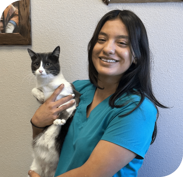 Anahi Veterinary Assistant