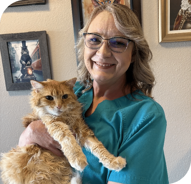 Sherri Veterinary Assistant