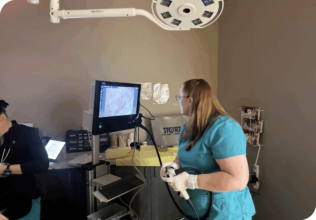 Veterinarian In Surgical Suite